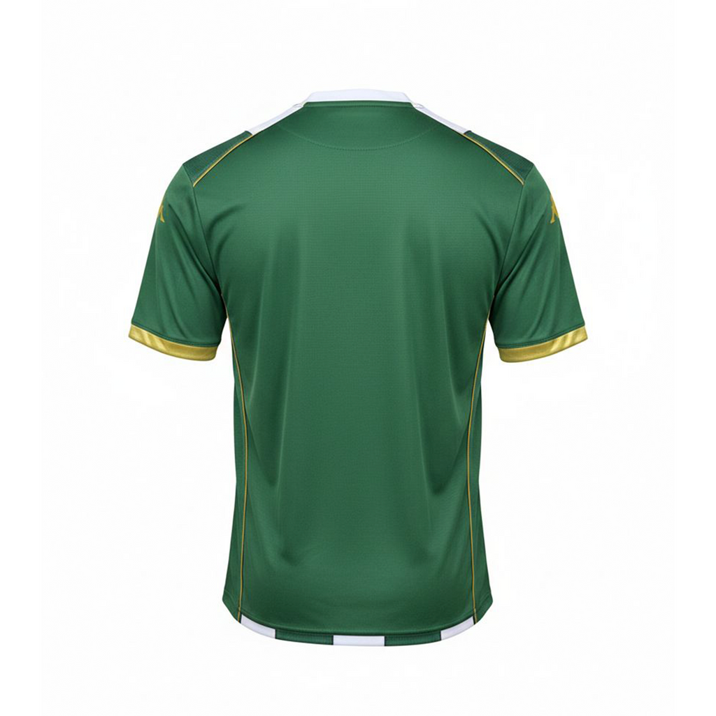 Camiseta Chapecoense