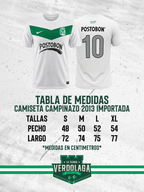 Camiseta Campinazo 2013