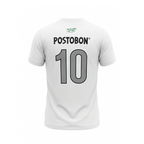 Camiseta Campinazo 2013